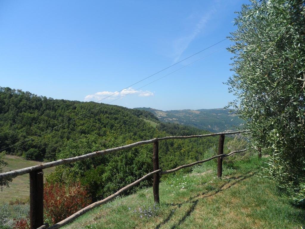 Agriturismo La Terrazza Valfabbrica Zewnętrze zdjęcie