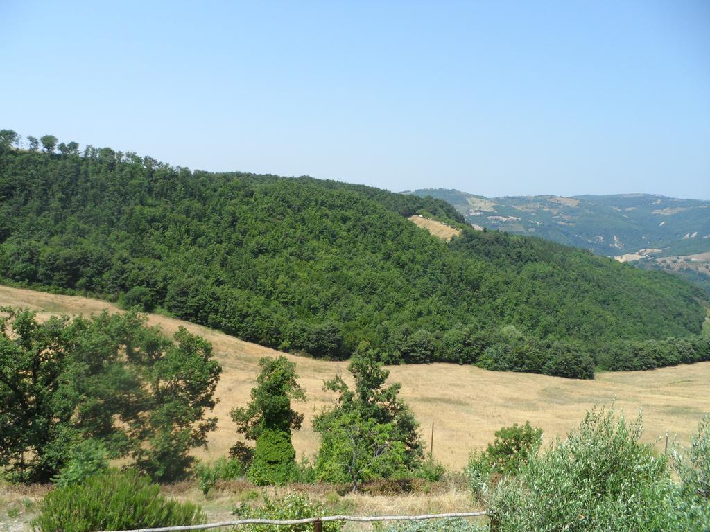 Agriturismo La Terrazza Valfabbrica Zewnętrze zdjęcie