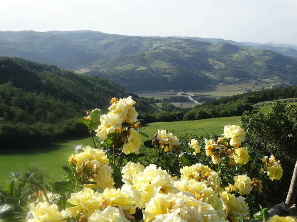 Agriturismo La Terrazza Valfabbrica Zewnętrze zdjęcie